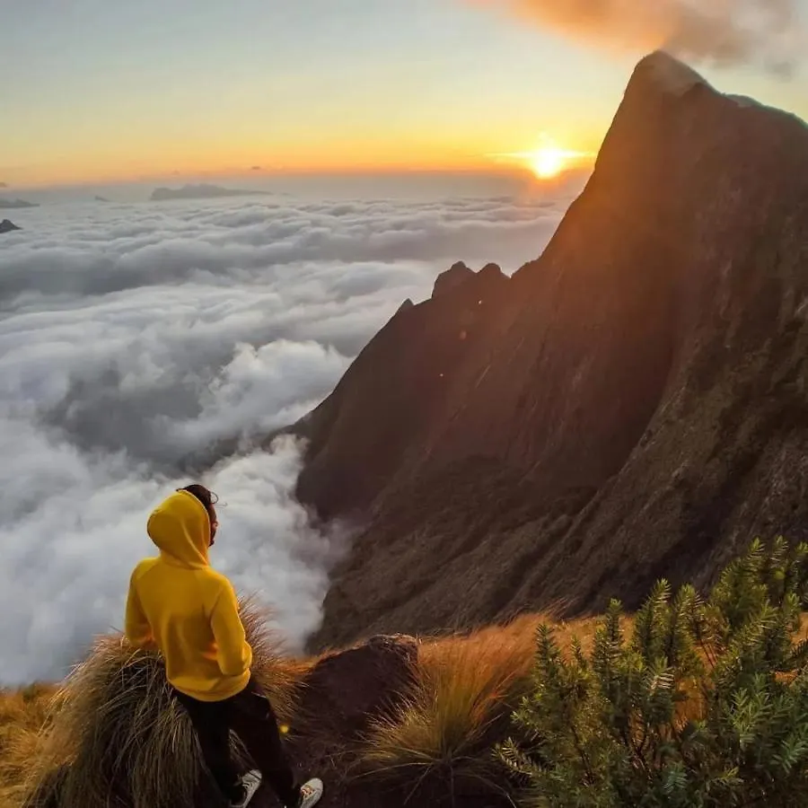 Kolukkumalai Sunrise Valley Suryanelli